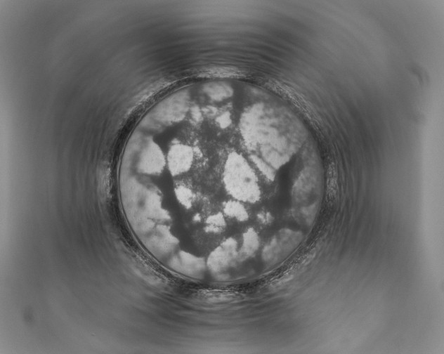 X0000110890351200907091359