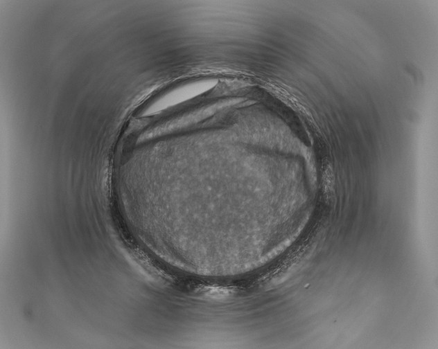 X0000110890352200907091359