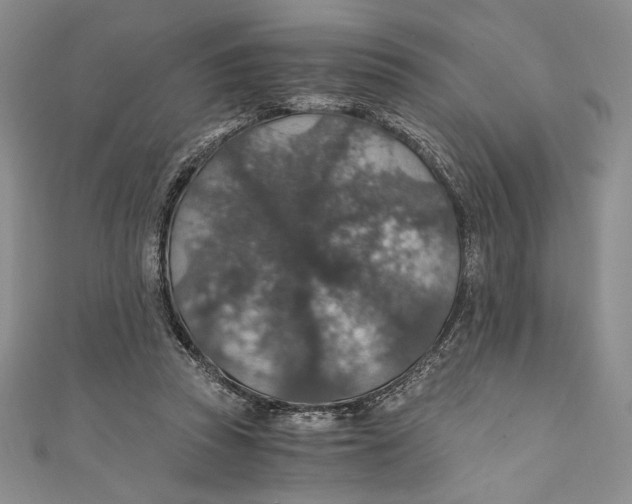 X0000110890353200907091359