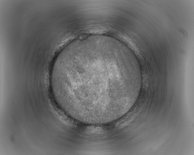 X0000110890354200907091359