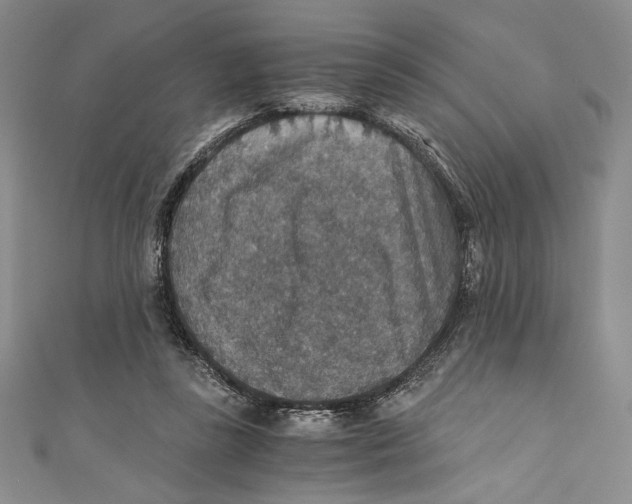 X0000110890355200907091359