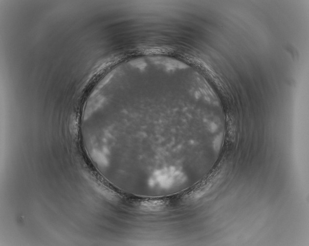 X0000110890357200907091359