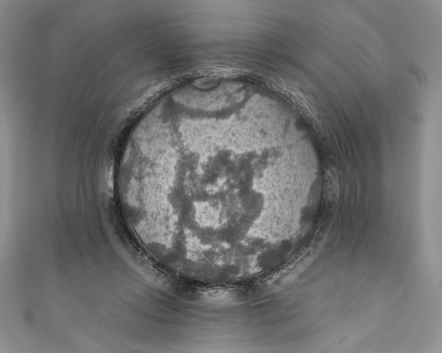 X0000110890358200907091359