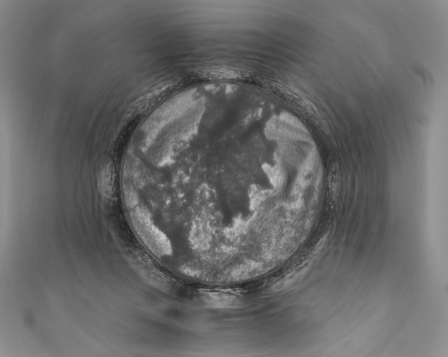 X0000110890359200907091359