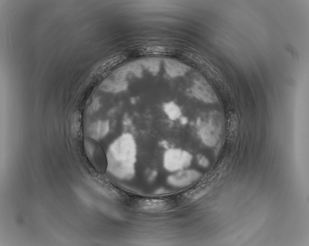 X0000110890361200907091359