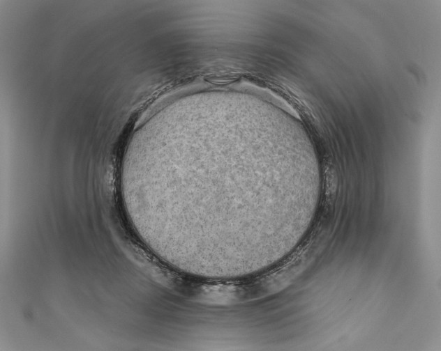 X0000110890362200907091359