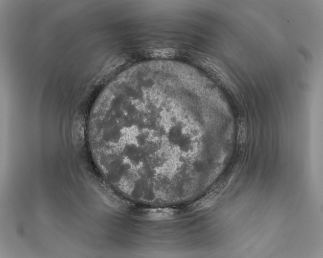 X0000110890363200907091359