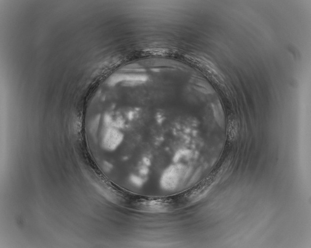 X0000110890365200907091359