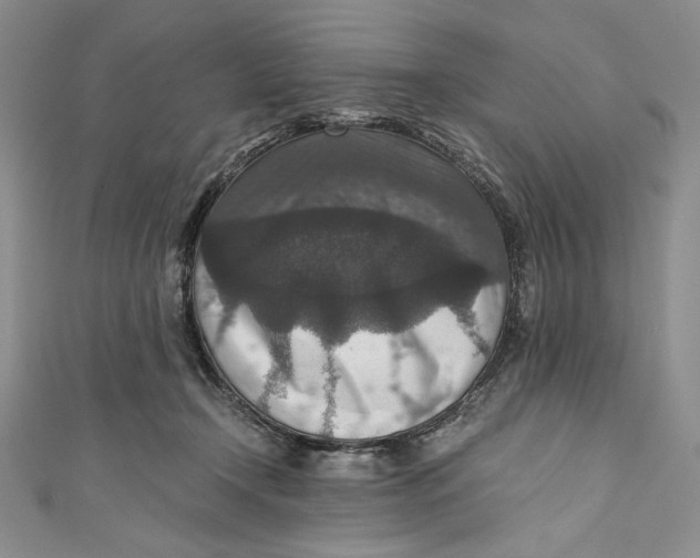 X0000110890366200907091359