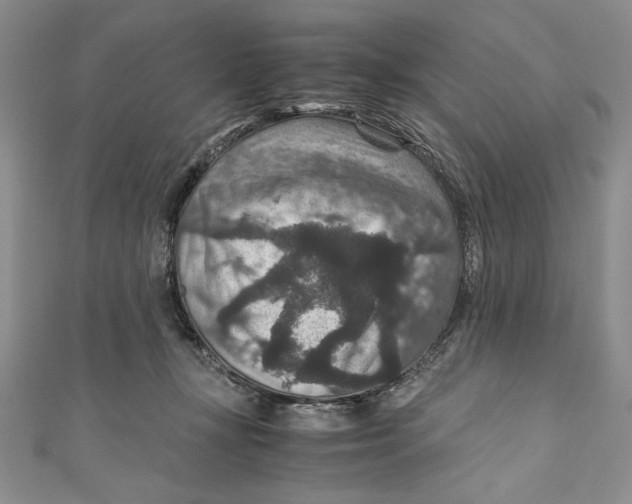 X0000110890367200907091359