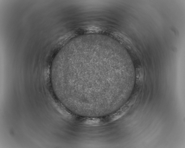 X0000110890369200907091359