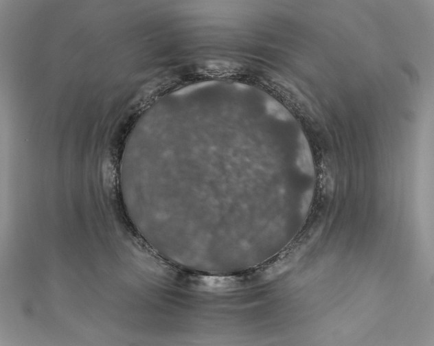 X0000110890371200907091359