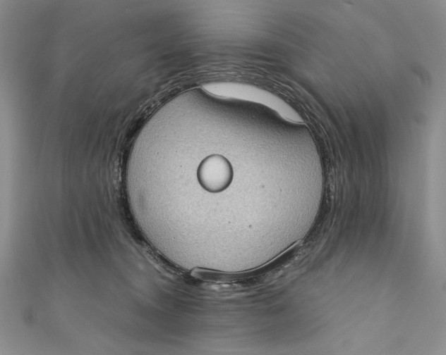 X0000110890372200907091359