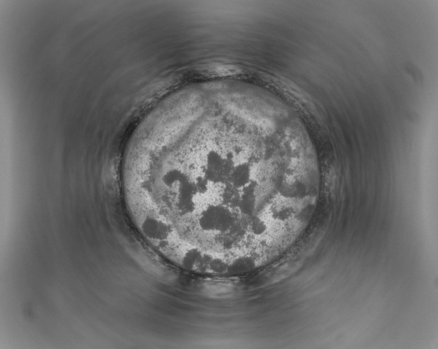 X0000110890373200907091359