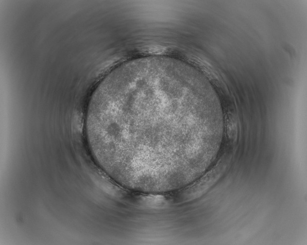 X0000110890374200907091359