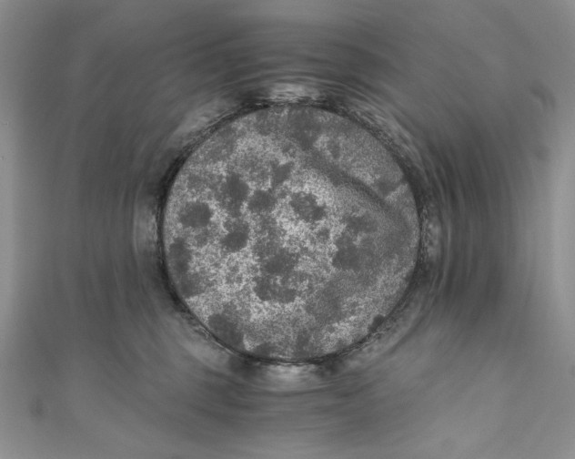 X0000110890375200907091359