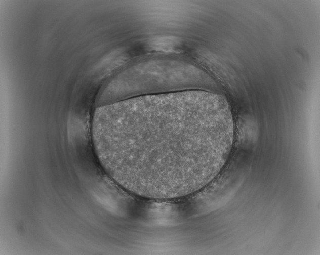 X0000110890376200907091359