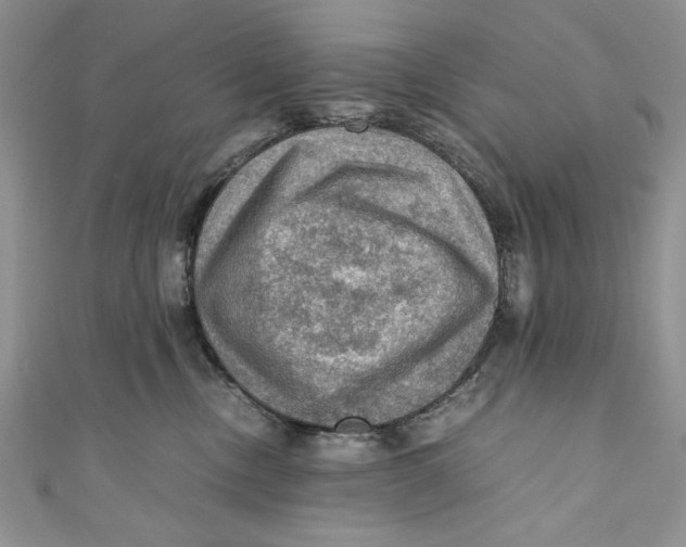 X0000110890378200907091359