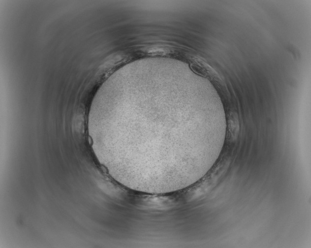 X0000110890379200907091359