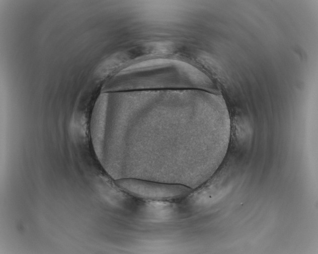 X0000110890380200907091359