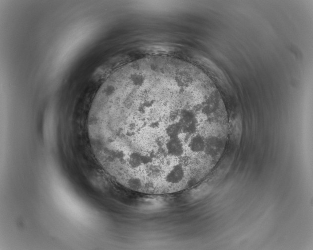 X0000110890381200907091359