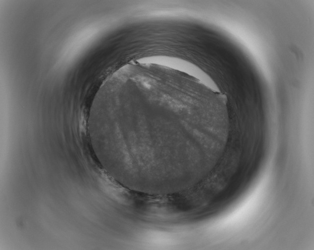 X0000110890382200907091359