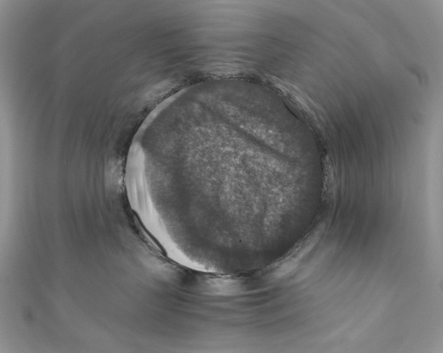 X0000110890383200907091359