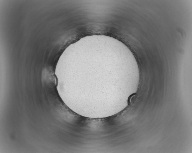 X0000110890384200907091359