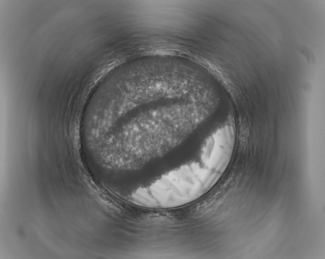 X0000110890386200907091358