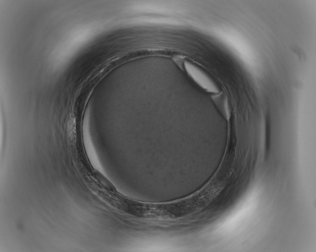 X0000110890387200907091358