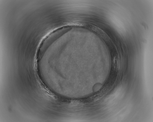 X0000110890388200907091358