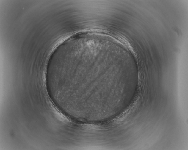 X0000110890389200907091358