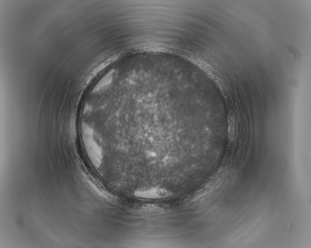 X0000110890390200907091358