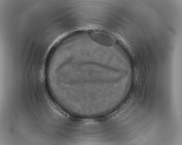 X0000110890392200907091358