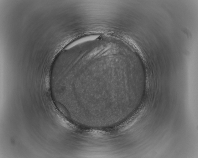 X0000110890393200907091358