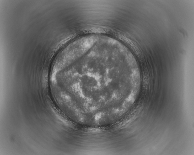 X0000110890394200907091358