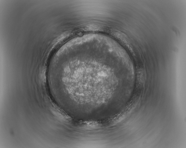 X0000110890395200907091358