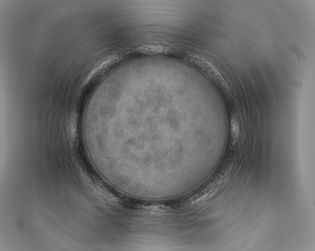 X0000110890396200907091358