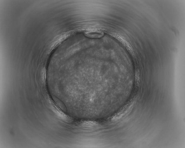 X0000110890397200907091358