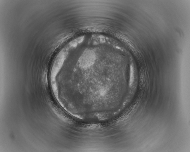 X0000110890398200907091358