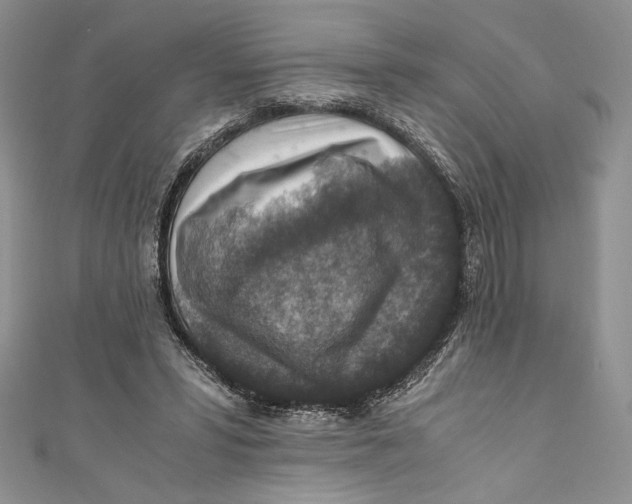 X0000110890399200907091358