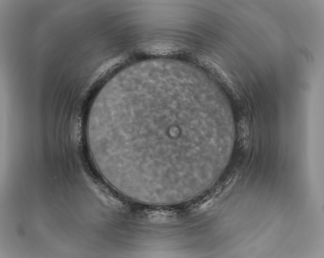 X0000110890400200907091358