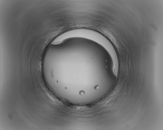 X0000110890401200907091358