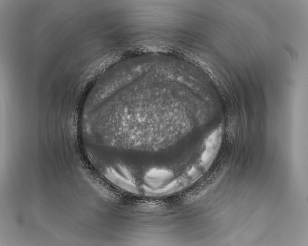 X0000110890402200907091358