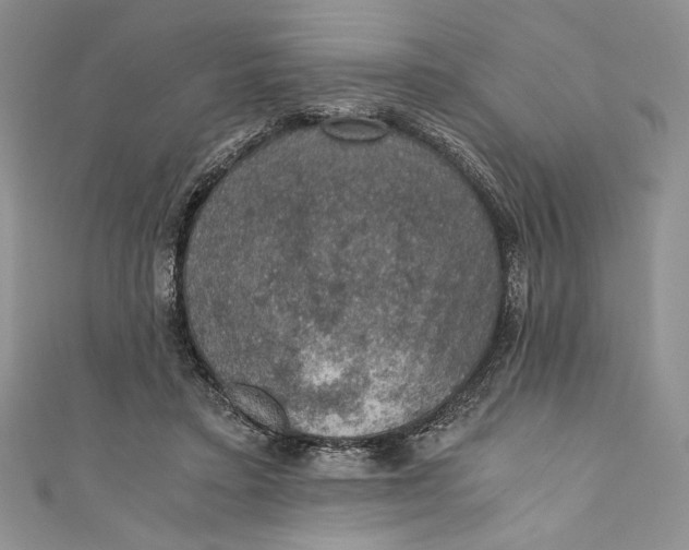 X0000110890403200907091358