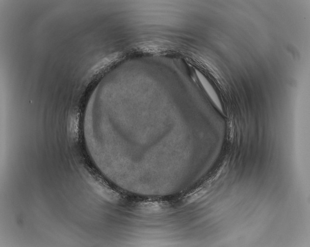 X0000110890404200907091358