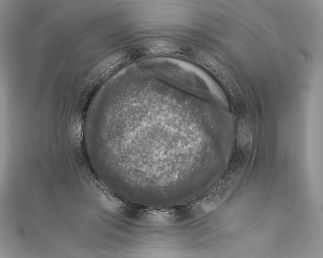 X0000110890405200907091358