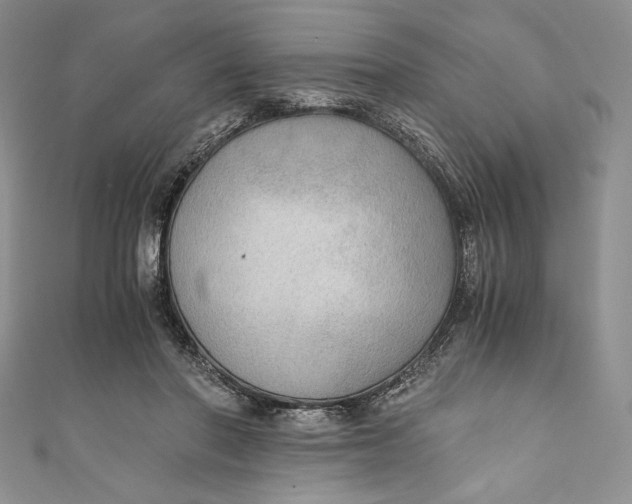 X0000110890406200907091358