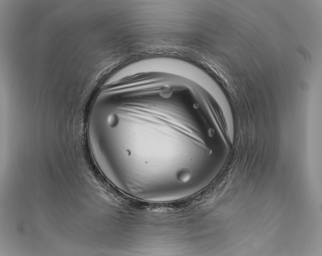 X0000110890407200907091358