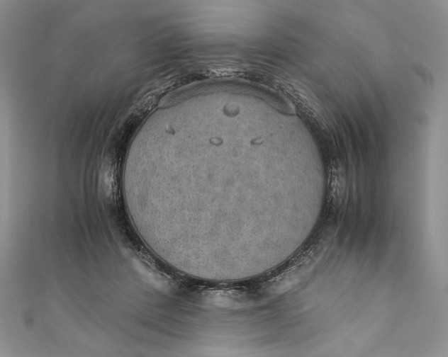 X0000110890408200907091358